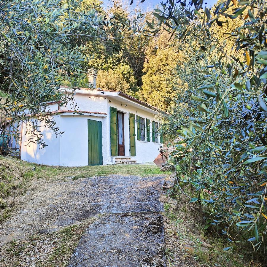 Massaciuccoli Romana Esterno foto