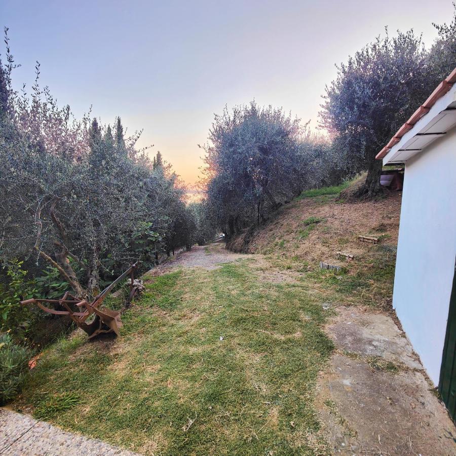 Massaciuccoli Romana Esterno foto