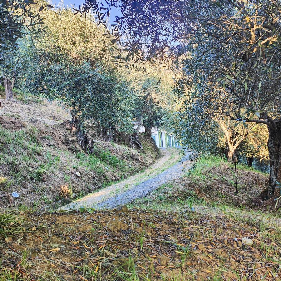 Massaciuccoli Romana Esterno foto