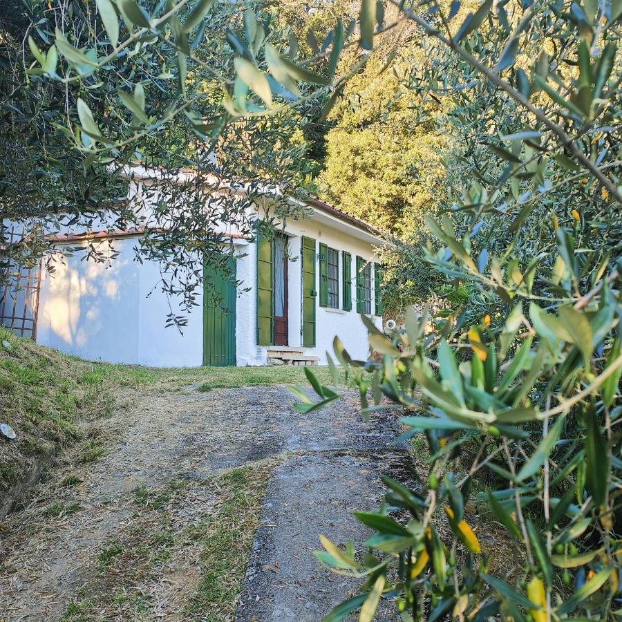 Massaciuccoli Romana Esterno foto
