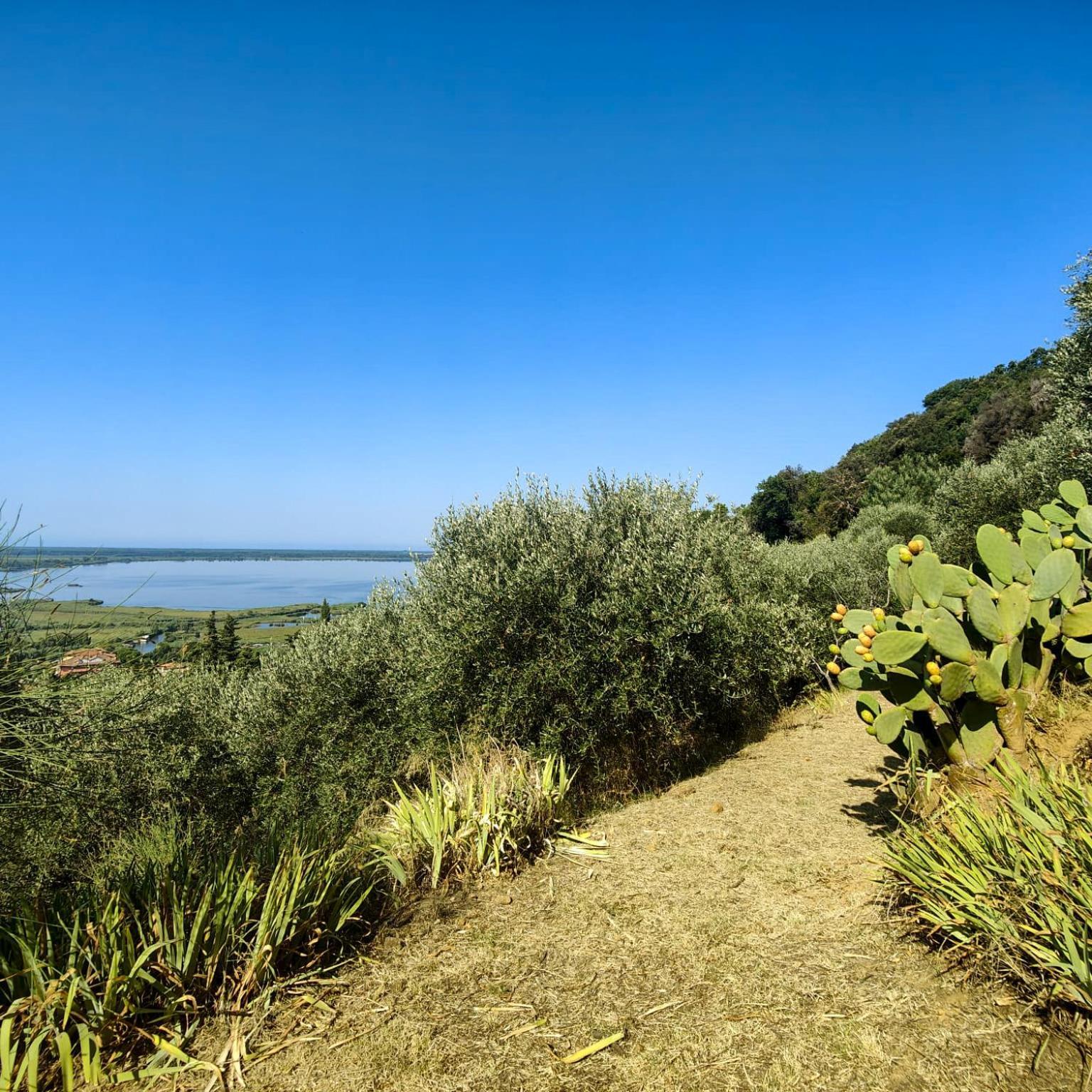 Massaciuccoli Romana Esterno foto