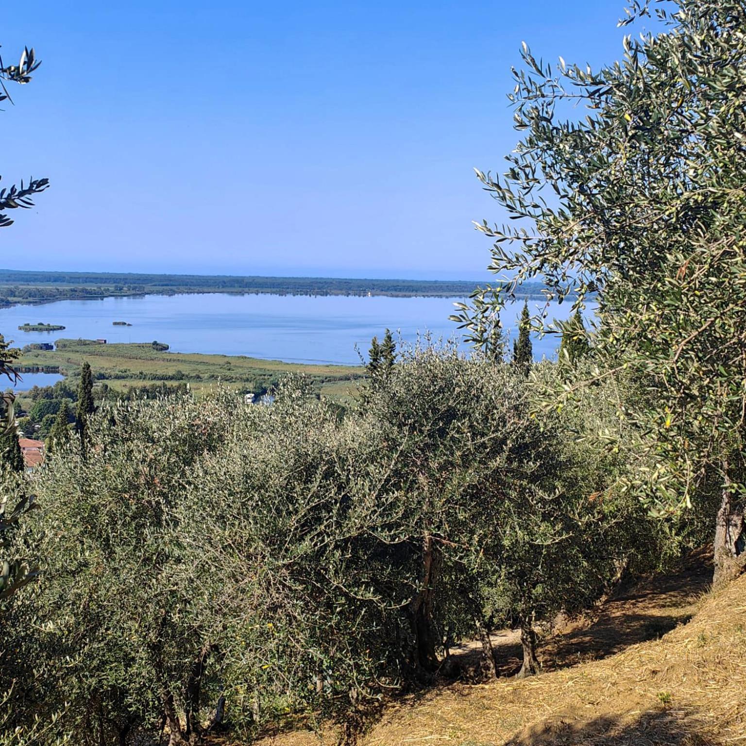 Massaciuccoli Romana Esterno foto